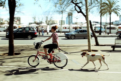 Te, a kerékpáros és a kutya 6 titkot, hogy egy kellemes és hasznos séták