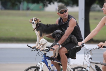 Tu, o bicicletă și un câine sunt 6 secrete ale unei plimbări plăcute și utile