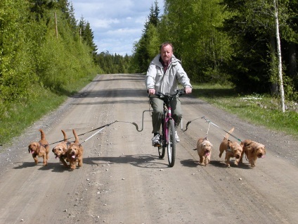 Tu, o bicicletă și un câine sunt 6 secrete ale unei plimbări plăcute și utile