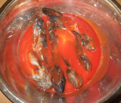 Вкусни пържени попчета в доматен сос, хрупкава - рецепта със снимки как да се направи на Черно море
