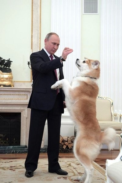 Vladimir Putin a speriat oaspeții cu un bodyguard cu patru picior