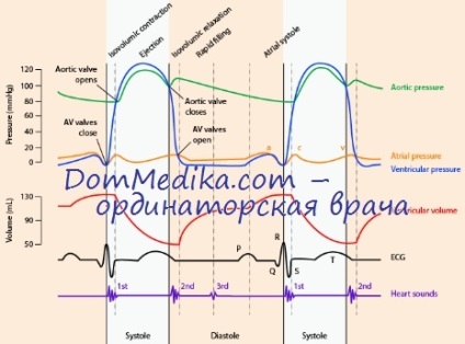 Indicele intrasystolic (bls)