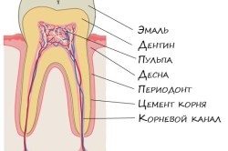 Възпаление на венците по време на бременност какво да правят и как да се отнасяме