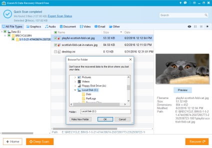Restaurați fișierele cu recuperare de date easeus