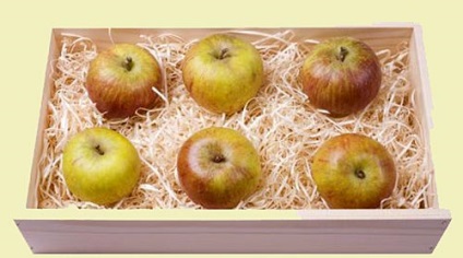Depozitarea merelor la domiciliu pentru iarnă