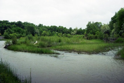 Ashen Grove, Zhetysu