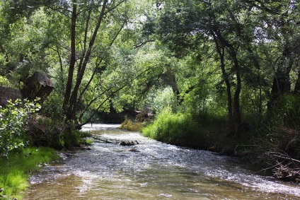 Ashen Grove, Zhetysu