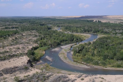 Ashen Grove, Zhetysu