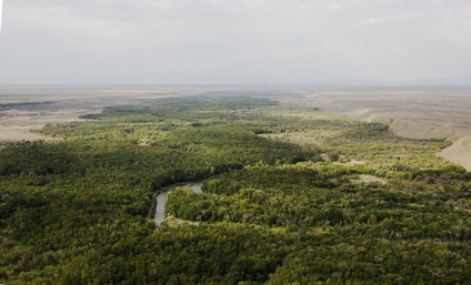 Ashen Grove, Zhetysu