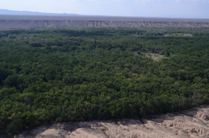 Ashen Grove, Zhetysu