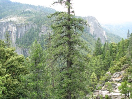 Yosemite National Park cele mai frumoase locuri din parc