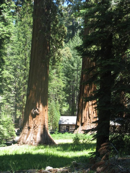 Yosemite National Park cele mai frumoase locuri din parc