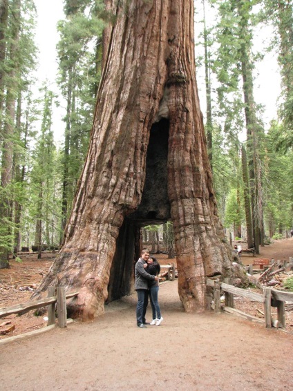 Yosemite National Park cele mai frumoase locuri din parc