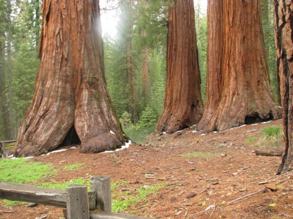 Yosemite National Park cele mai frumoase locuri din parc