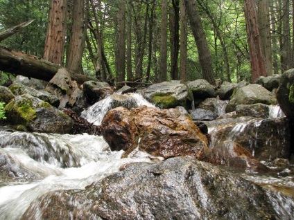 Yosemite National Park cele mai frumoase locuri din parc