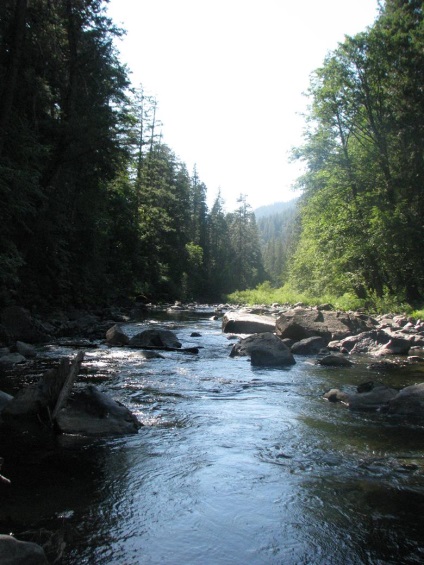 Yosemite National Park cele mai frumoase locuri din parc