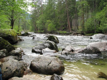 Yosemite National Park cele mai frumoase locuri din parc