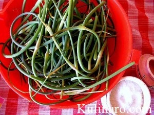 Recoltarea mâinilor verzi de usturoi pentru iarnă, gătit - rețete simple pentru tine