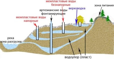 În ce timp este atrasă apa în termenii și metodele aproximative ale procesului de accelerare a procesului, casa rusă,