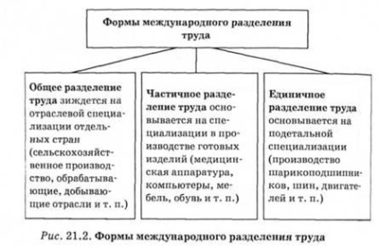 Legile dezvoltării economiei mondiale, internaționalizarea vieții economice și a lumii