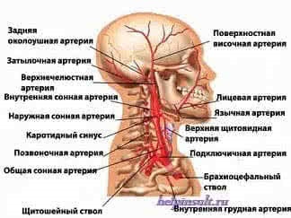 Căldură și accident vascular cerebral Cum se comportă