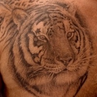 Înțeles tattoos of all animals
