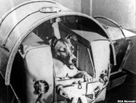 A híres husky - egy emlékmű az első űrhajós, Moszkva, fotók, hivatalos honlapján - resort portál