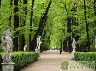 Renumita grădină de vară din St. Petersburg