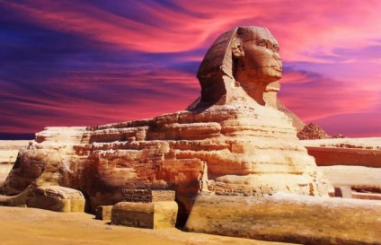 10 Fapte despre animalele sacre care au fost venerate în Egiptul antic