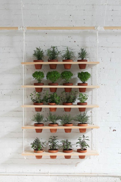 10 Idei stilate pentru decorarea bucătăriei cu plante verzi