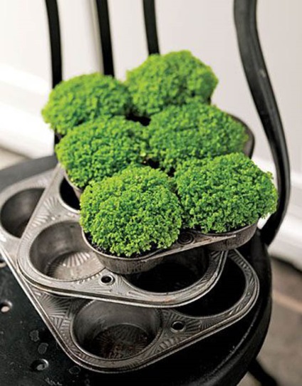 10 Stílusos ötleteket díszítésére a konyha zöld növények