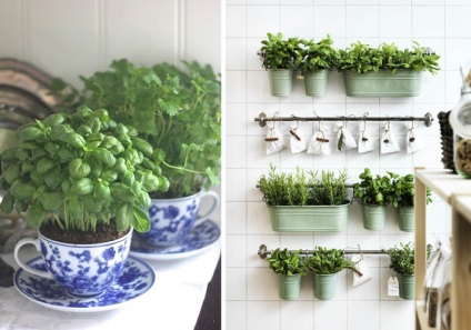 10 Idei stilate pentru decorarea bucătăriei cu plante verzi