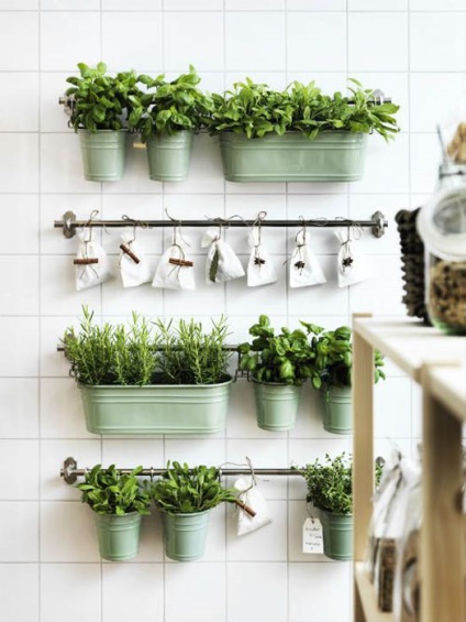 10 Idei stilate pentru decorarea bucătăriei cu plante verzi