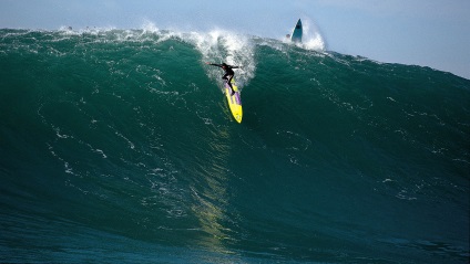 10 idézetek, amelyek kifejezik a lényegét szörfözés - Cikk - Surfing a Fülöp-szigeteken (a szervezet