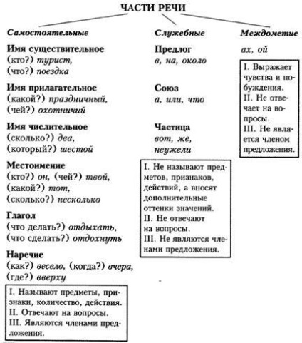 34 părți ale discursului