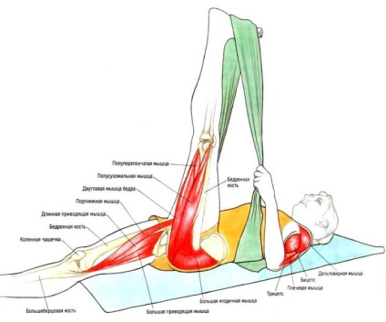 34 Exerciții de întindere care vă vor da un nou corp (foto-instrucțiune) - în ritmul vieții