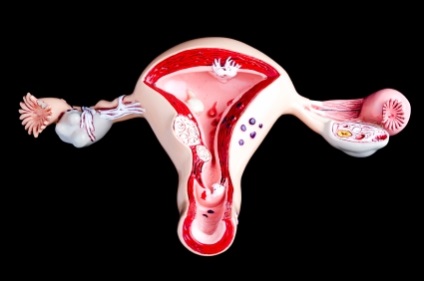 Sângerări anormale cauzate de uter, tratament