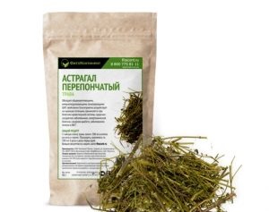 Astragalus proprietăți terapeutice membranoase ale rădăcină, pregătire, aplicare, foto, video