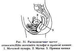 Autoginekologichesky masszázs Norbekova technológia megvalósítása