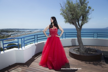 Aishwarya paradise cele mai bune imagini din cannes timp de 15 ani