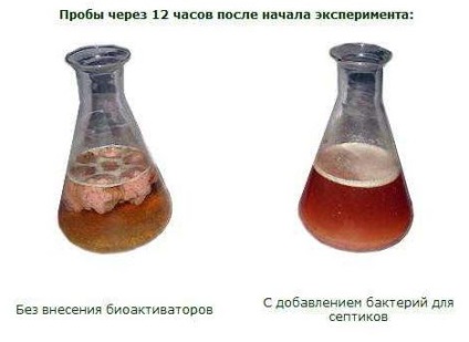 Бактерии за септични ями и помийни ями мнения, какво да купите