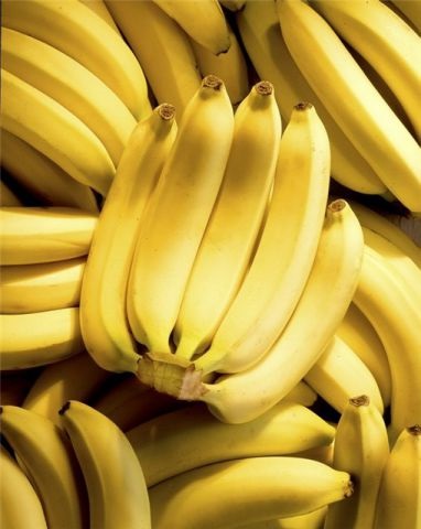 Sampon de banane și balsam de banane din magazinul corporal - recenzii, fotografii și preț
