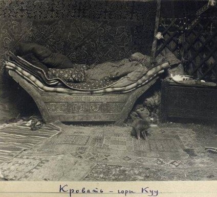 Pisica era un animal sacru pentru kazahi, un amestec
