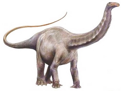 Brontosaurus, poze