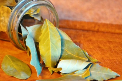 Curățarea pancreasului cu frunze de dafin - longevitate sănătoasă