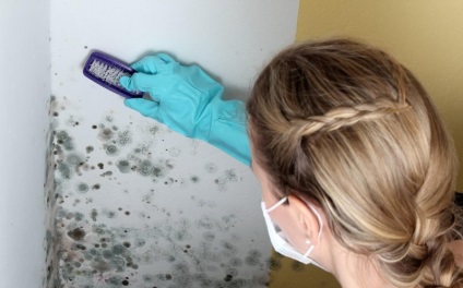Ce sa faceti daca exista mucegai pe perete in apartament cum sa scapati de ciuperca, motivele pentru aceasta