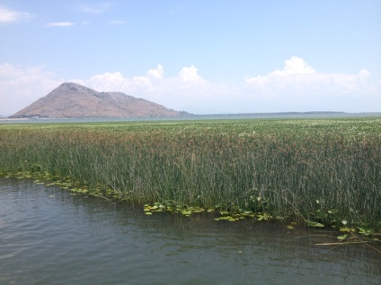 Ce să vedeți în Lacul Skadar din Muntenegru - călătoriți cu mine