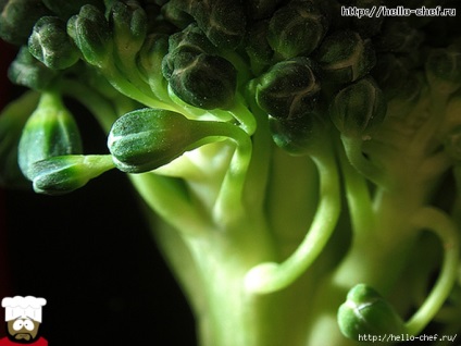 Ce să gătești din tulpini de broccoli