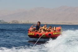 Ce să aducă din eilat ca dar (suveniruri), eilat, Israel despre eilat, recenzii, fotografii