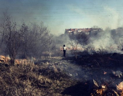 Що ховається всередині табору, або як живуть польські цигани